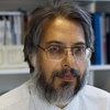 Mark Fernandes