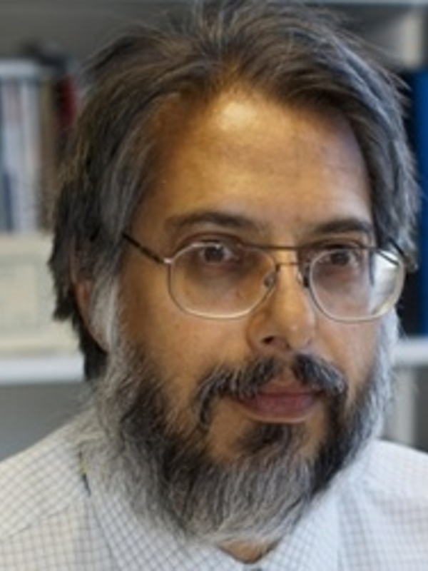  Mark Fernandes