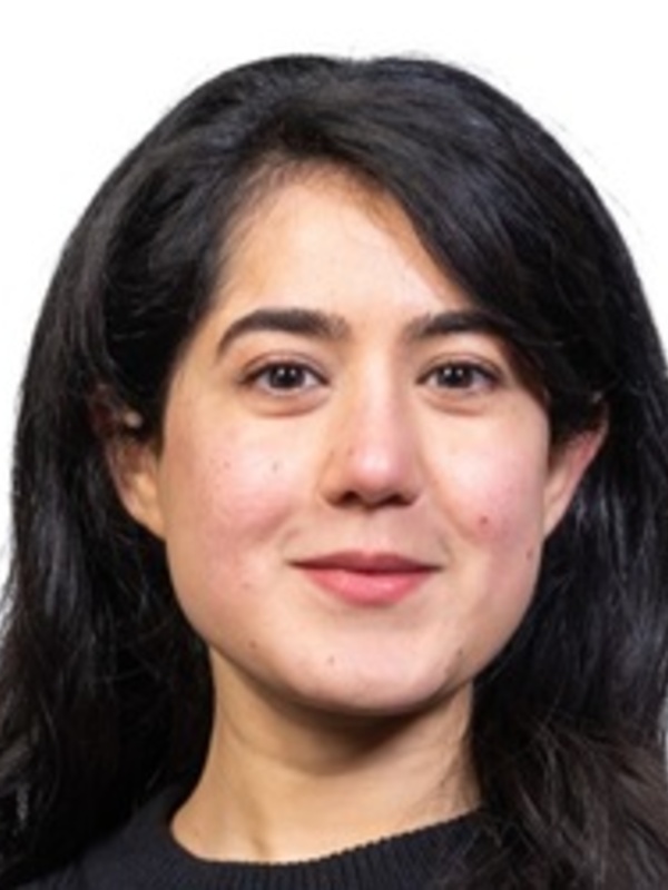 Dr Aleena Mushtaq Stolworthy