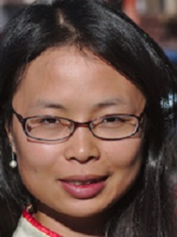Dr Qi Wang