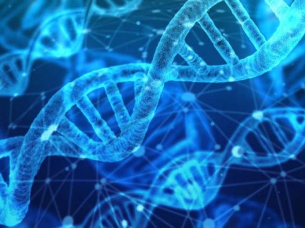 DNA